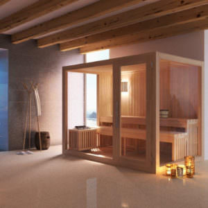 SPA SAUNA E DOCCIA IN LEGNO E VETRATA DA INTERNO